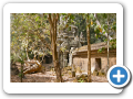 Angkor Thom 2008 50