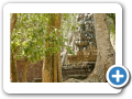Angkor Thom 2008 51