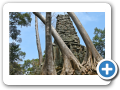 Angkor Thom 2008 54