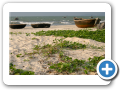 Danang 2008 4