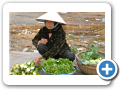 Halong 2008 34