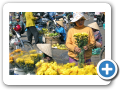 Ho Chi Min City  2008 29