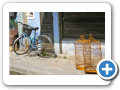 Hoi An  2008 13