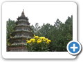 Hue  2008 22
