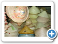 Hue  2008 38