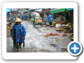 Hue  2008 45