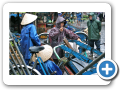 Hue  2008 47