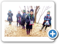 Sapa 2008 3