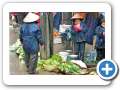 Sapa 2008 38