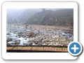 Sapa 2008 4