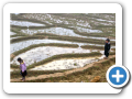 Sapa 2008 8