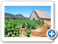 Vinales 2010 13