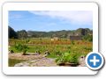 Vinales 2010 25