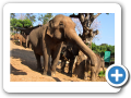 Chiang Rai 2006 2
