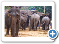 Mae Hong Son 2006 1