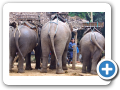 Mae Hong Son 2006 2