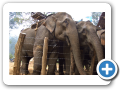 Mae Hong Son 2006 4