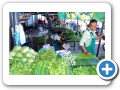 Mae Hong Son 2006 47