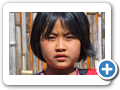 Pai 2006 9